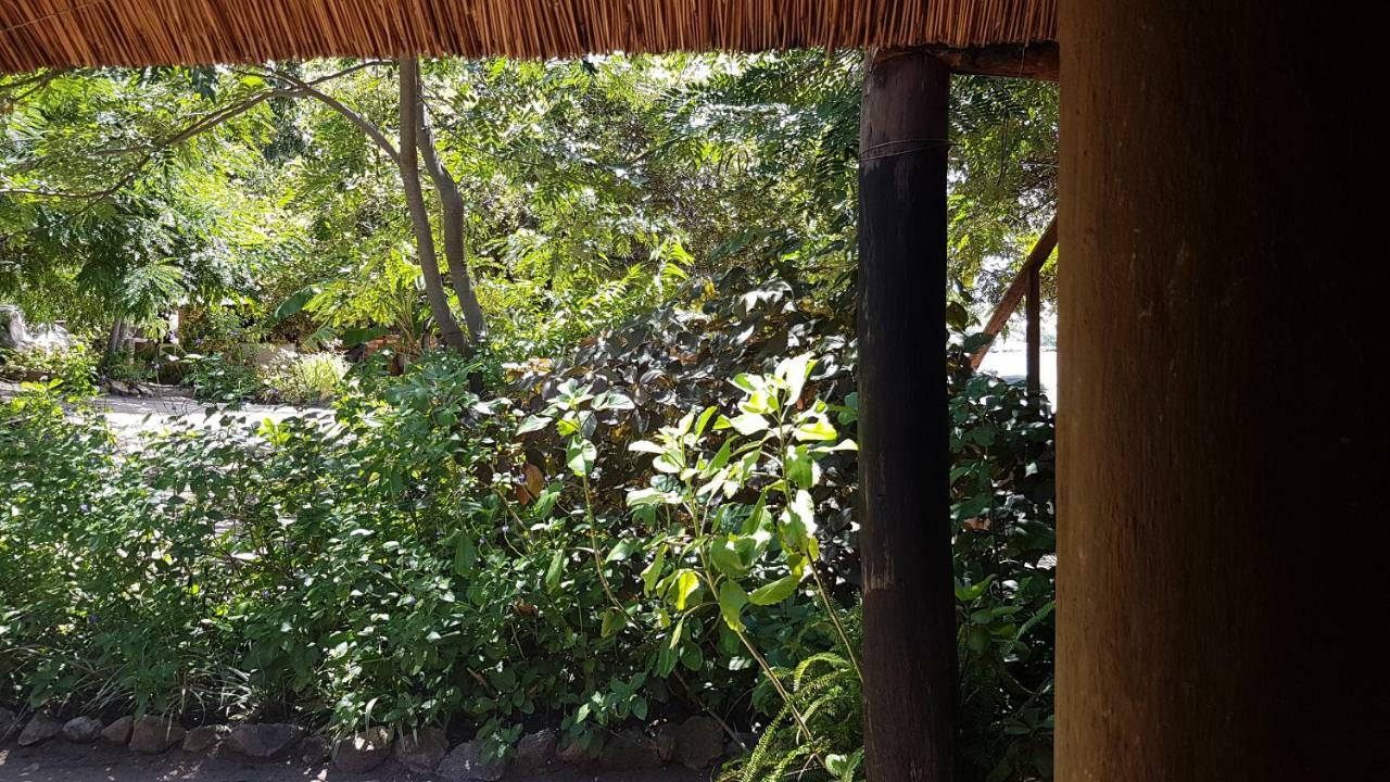 Mufasa Eco Lodge Monkey Bay Luaran gambar